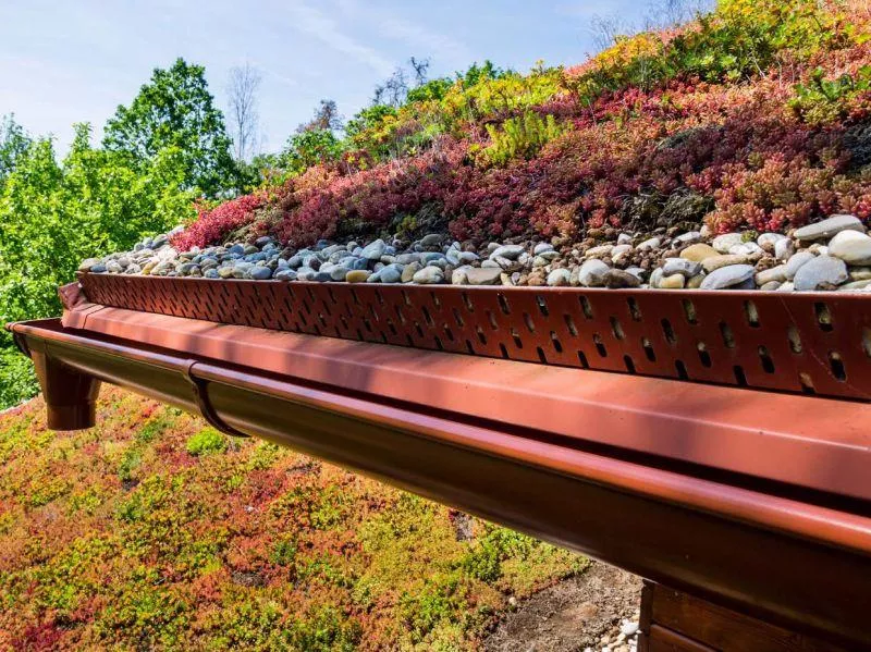 GRÖNA TAK - EN VÄXANDE TREND