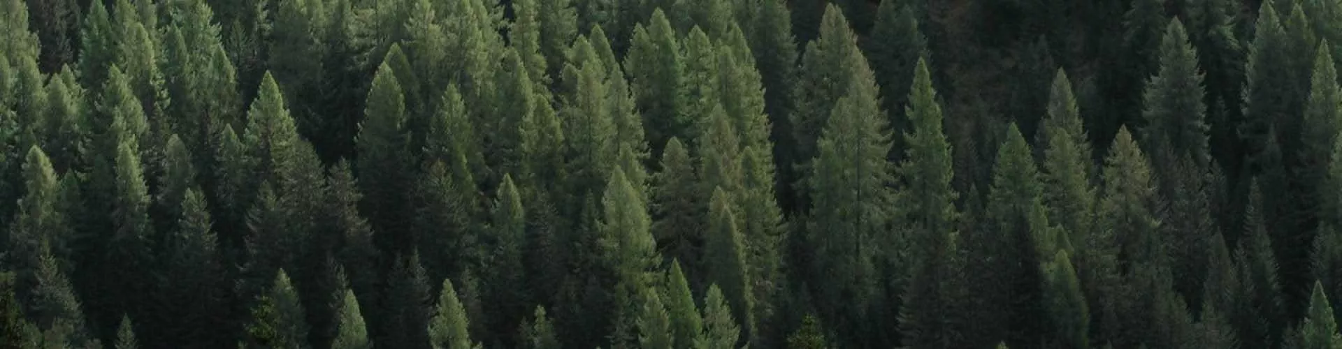 Hållbarhetsrapporter