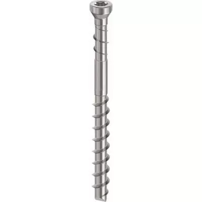 Trallskruv dold - 008865516