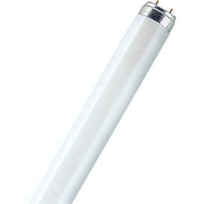 Lysrör - 001709628