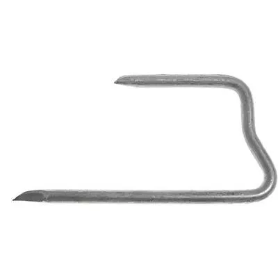 Takpannekrok - 005256167