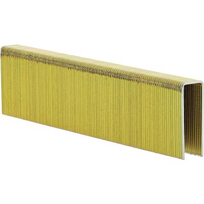Klammer - 008646918