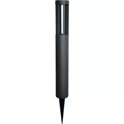 Pollare - 008664402