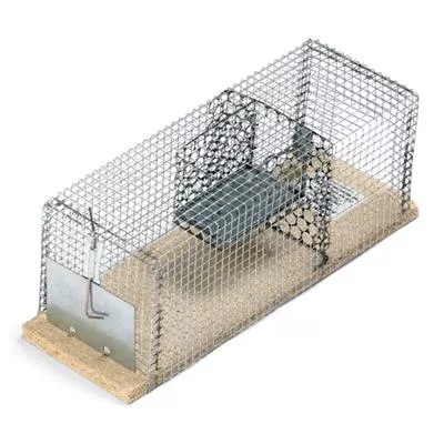 Musfälla - 003639634