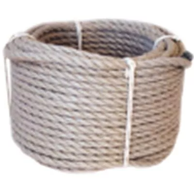 Rep - 003491522