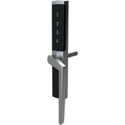 Digitalt Fönsterhandtag - 007526353