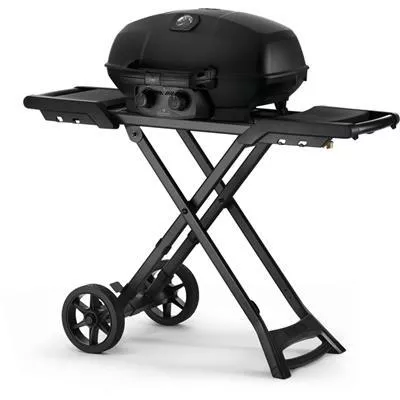 Gasolgrill, portabel - 502699118