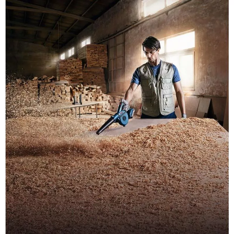 BLÅSARE GBL 18V-120 SOLO