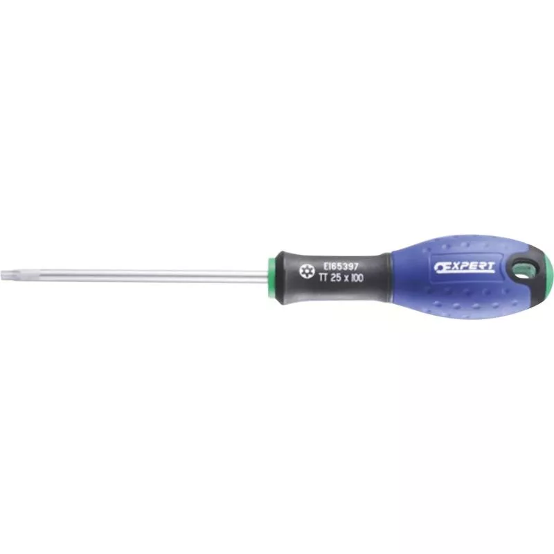 SKRUVMEJSEL TT25 X 100MM