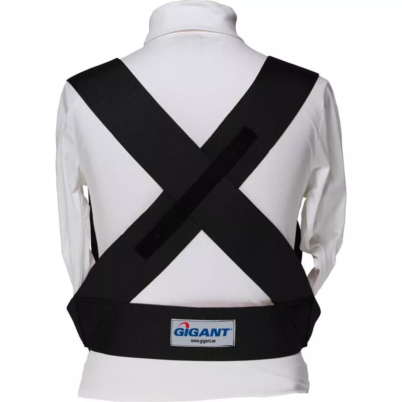 BÄRSELE GIGANT SÄKERHET