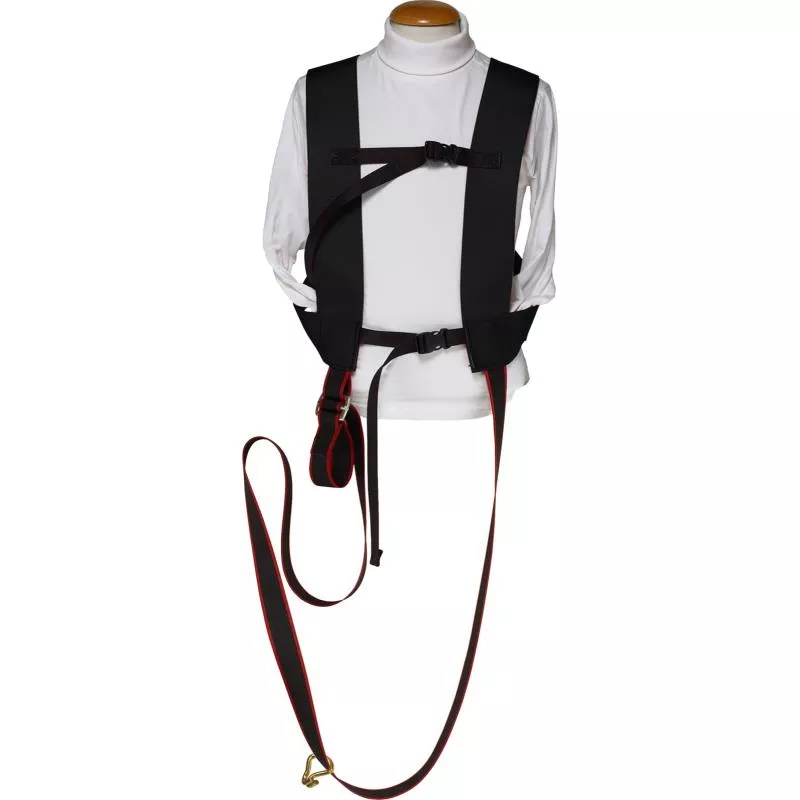 BÄRSELE GIGANT SÄKERHET