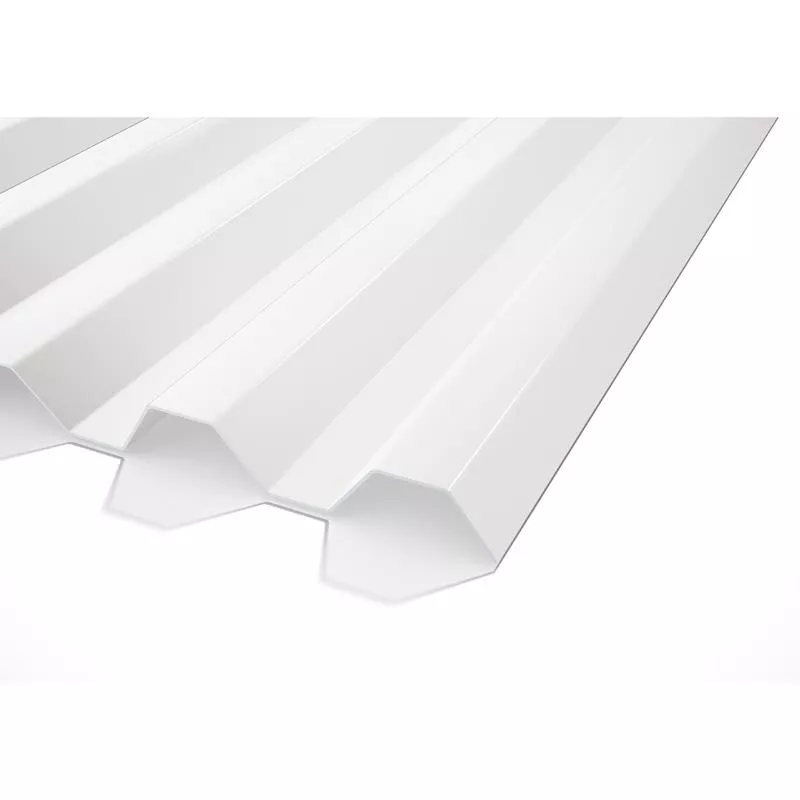 Plasttaksskiva
