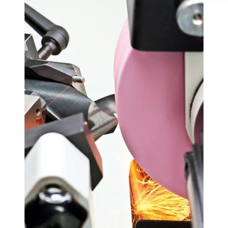 BORRSLIPMASKIN BSG60 230V-1FAS