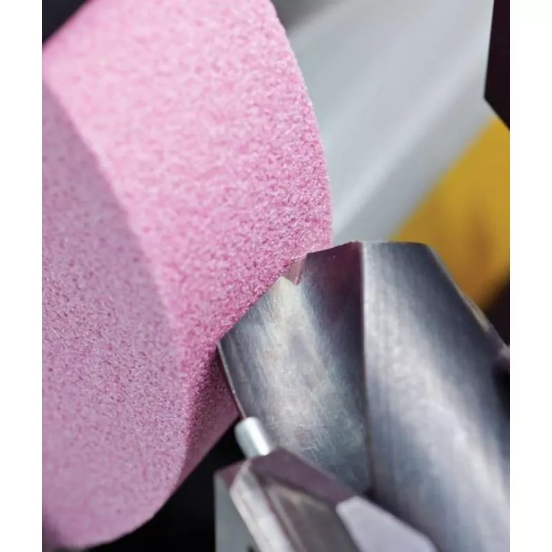 BORRSLIPMASKIN BSG60 230V-1FAS