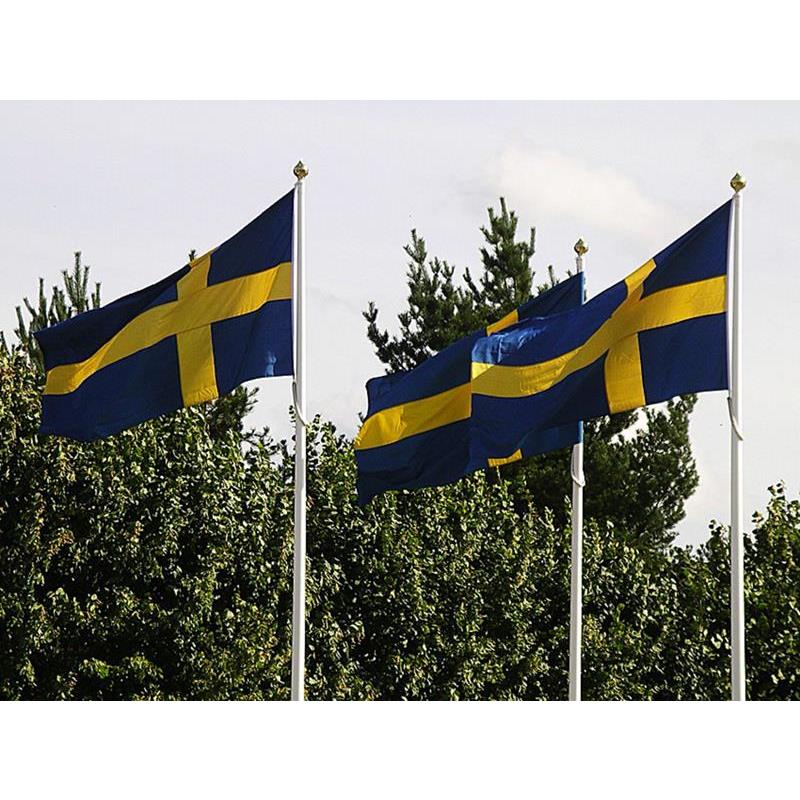 FLAGGSTÅNG KOMPLETT 8M