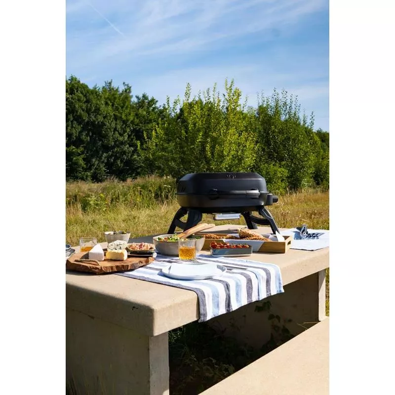 Gasolgrill, portabel