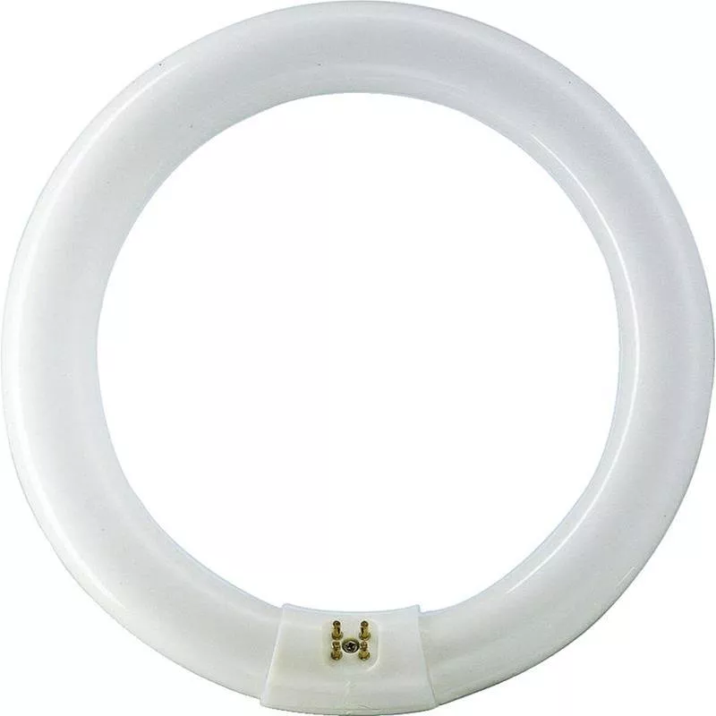 CIRKELLYSRÖR PHILIPS 22W LJUSFÄRG