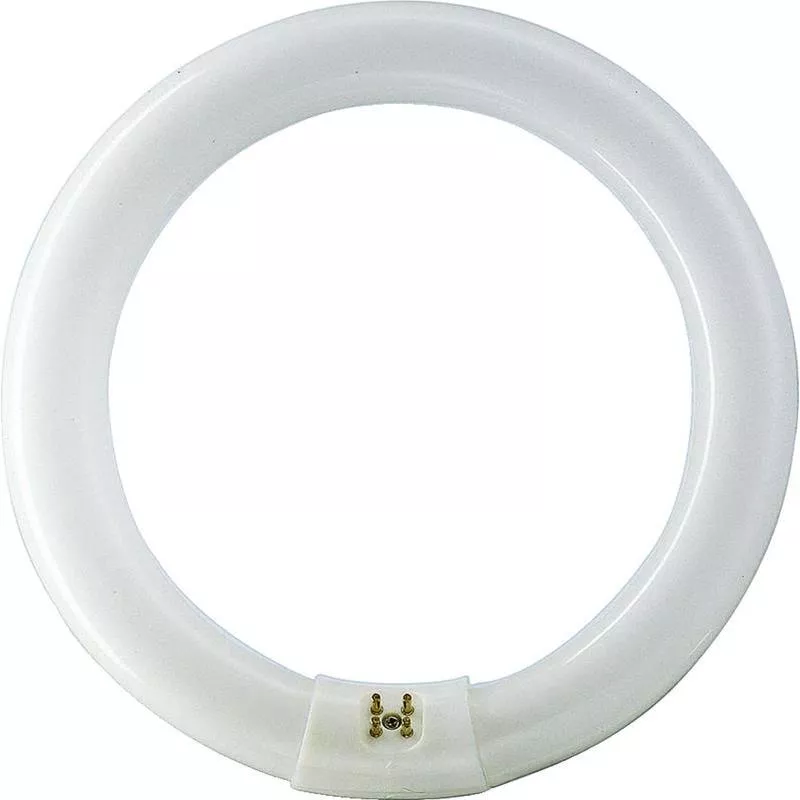 CIRKELLYSRÖR PHILIPS T8 33W