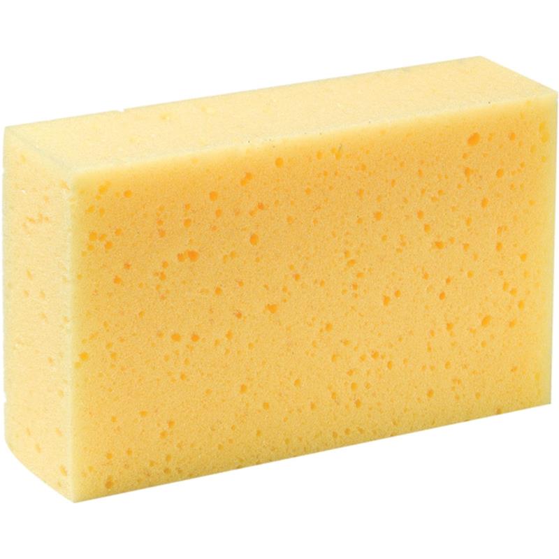 Svamp