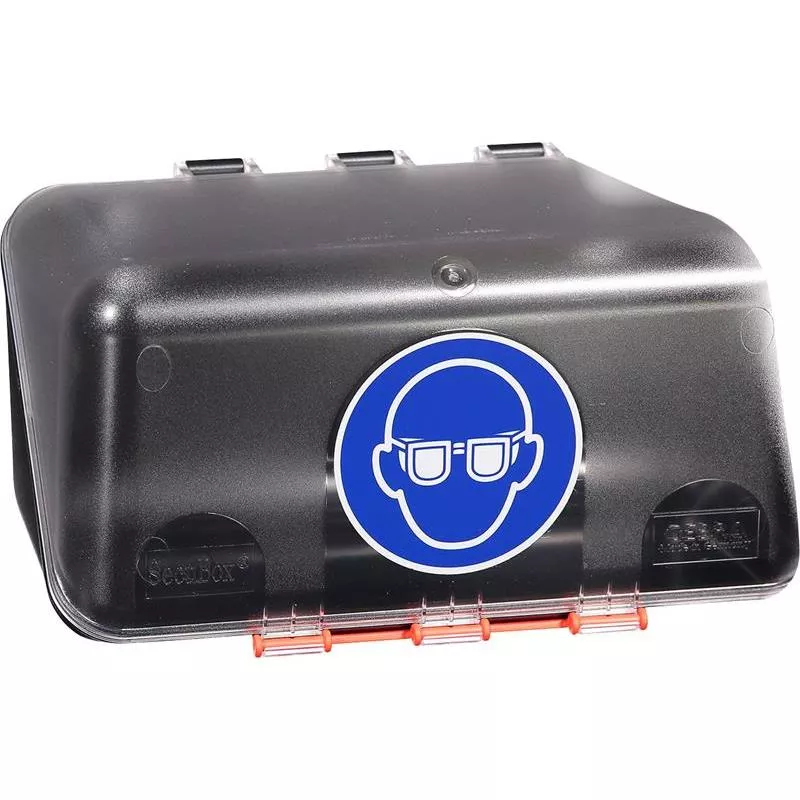 BOX FÖR GLASÖGON MINI TRANSPARENT