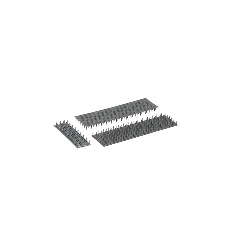 Spikbleck