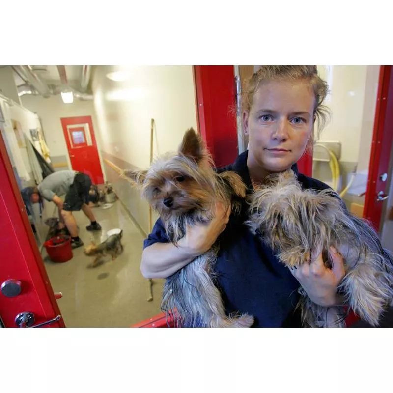 Byggskiva Fibercement