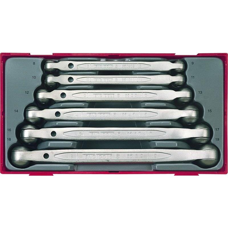 LEDHYLSNYCKELSATS TT6506