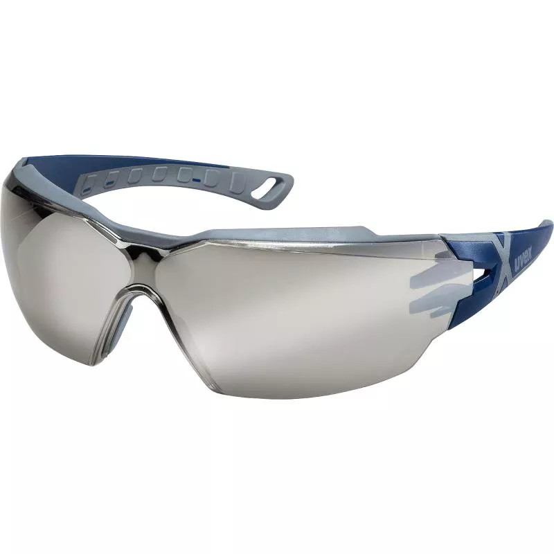 GLASÖGON 9198885 PHEOS CX2