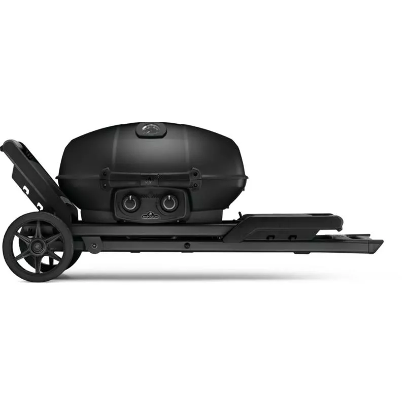 Gasolgrill, portabel